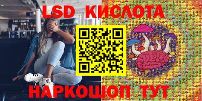 СК Моздок