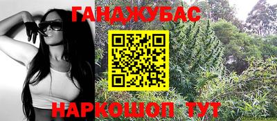 стафф Можга