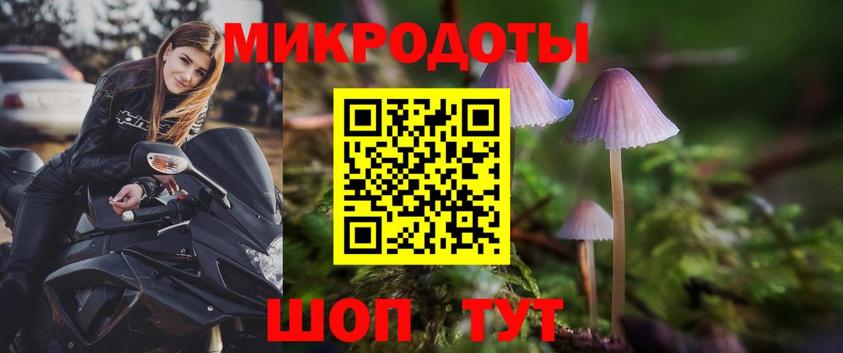 Галлюциногенные грибы MAGIC MUSHROOMS  Вход с VPN  Сунжа  Галлюциногенные грибы ЛСД 